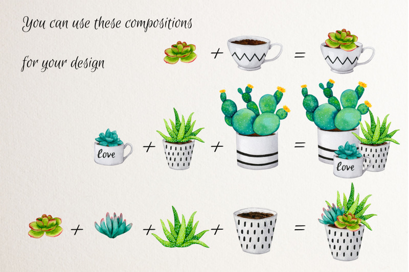 cacti-and-succulents-watercolor-elements-png