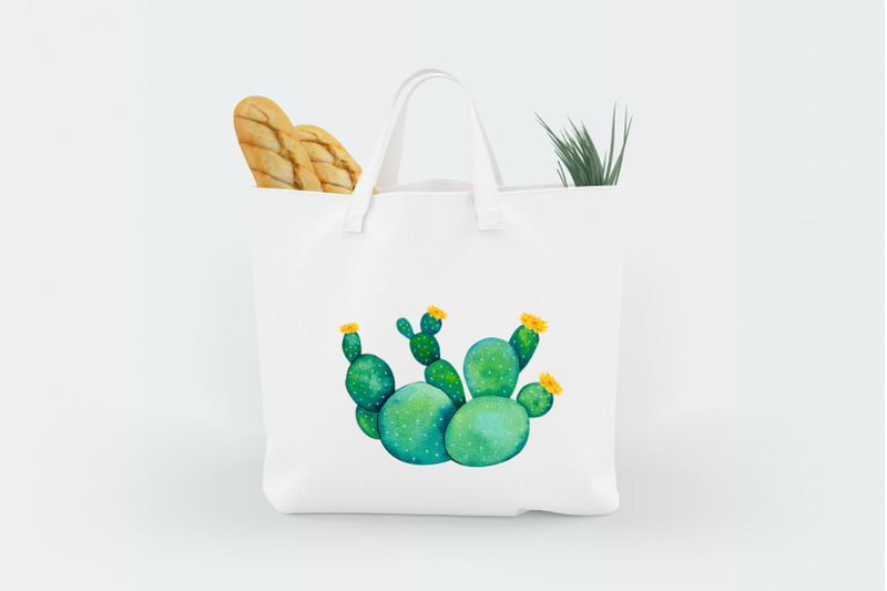 cacti-and-succulents-watercolor-elements-png