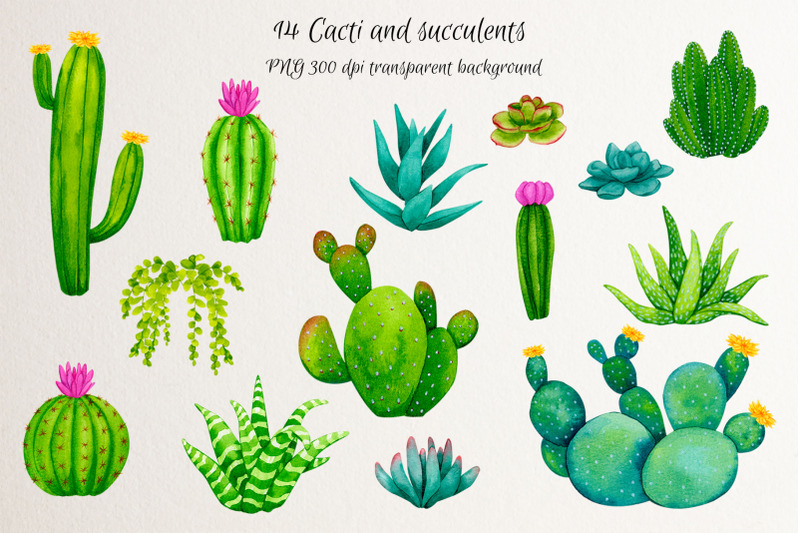 cacti-and-succulents-watercolor-elements-png