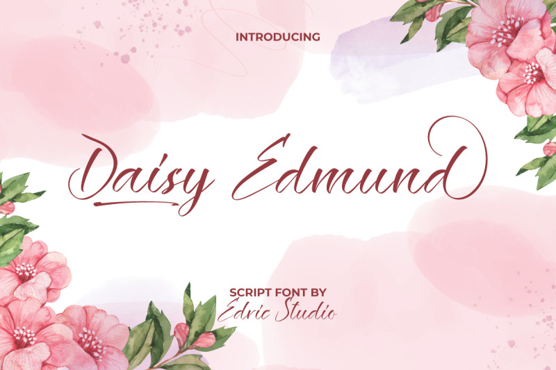 daisy-edmund