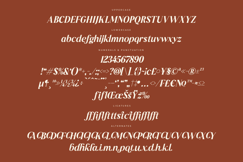 mocha-dahlia-modern-serif-font