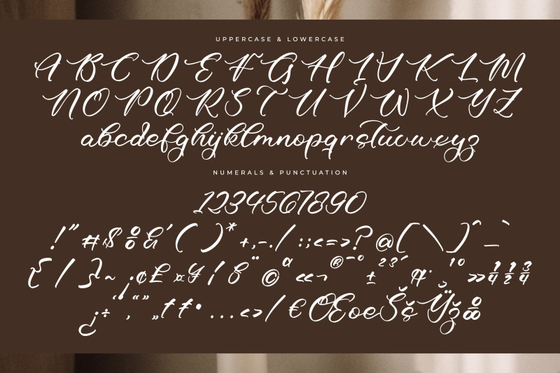 richard-blooksy-beauty-calligraphy-script