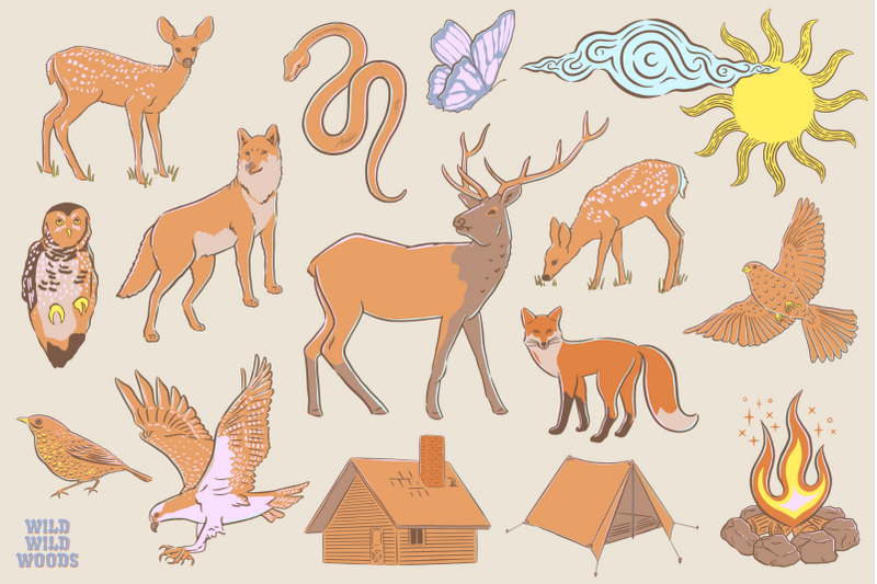 wild-wild-woods-a-nature-inspired-illustration-pack