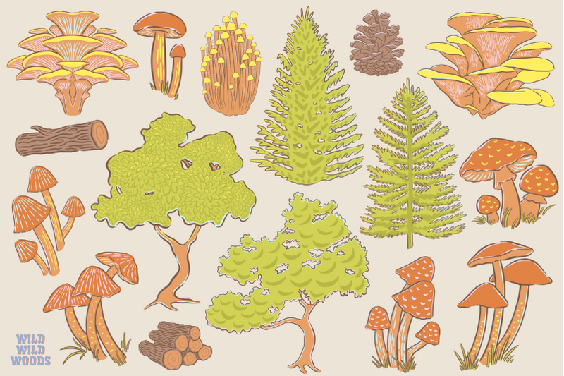 wild-wild-woods-a-nature-inspired-illustration-pack