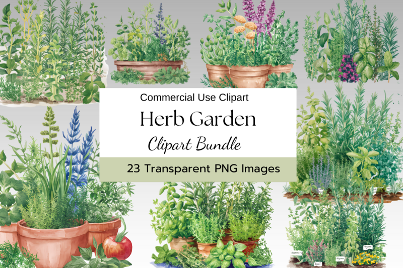 herb-garden-watercolor-clipart