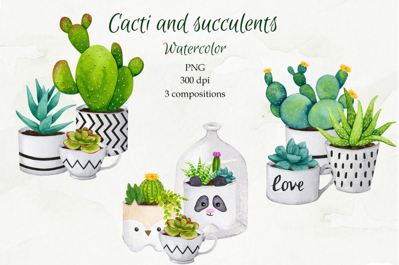 cacti-and-succulents-watercolor-sublimation