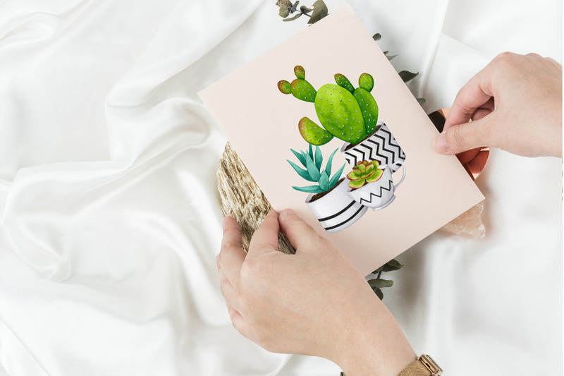 cacti-and-succulents-watercolor-sublimation