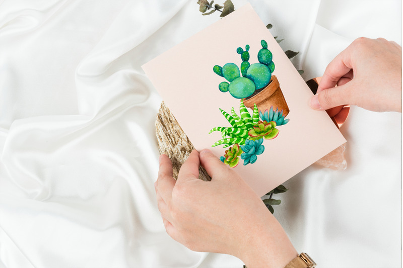 cacti-and-succulents-watercolor-sublimation