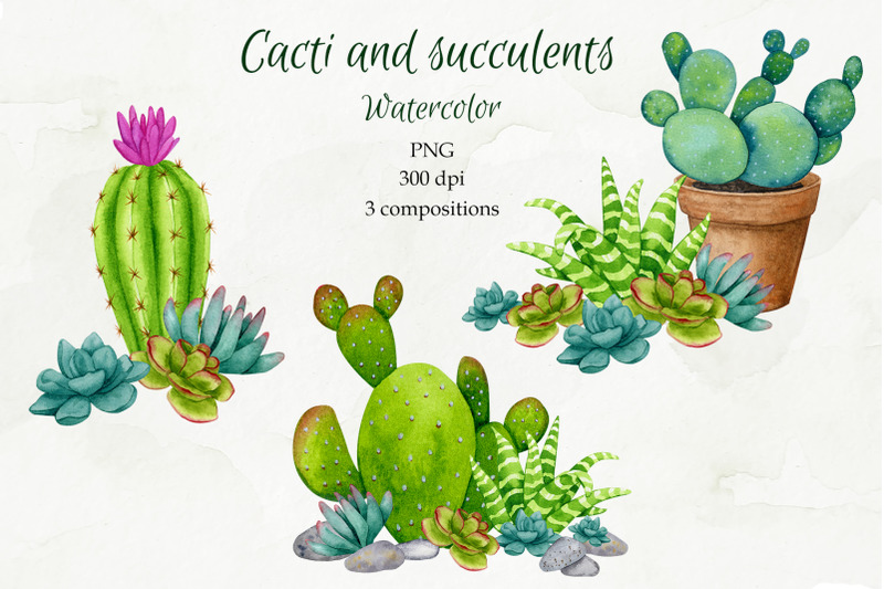 cacti-and-succulents-watercolor-sublimation