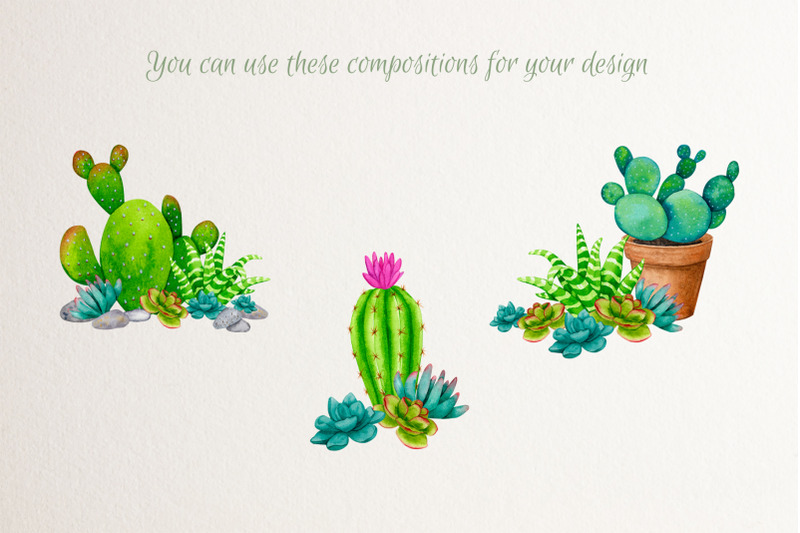 cacti-and-succulents-watercolor-sublimation