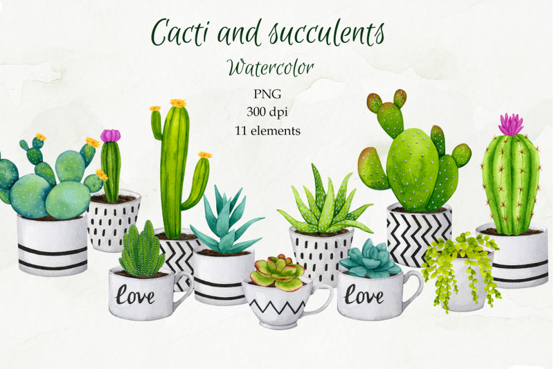 cacti-and-succulents-watercolor-cliparts-png