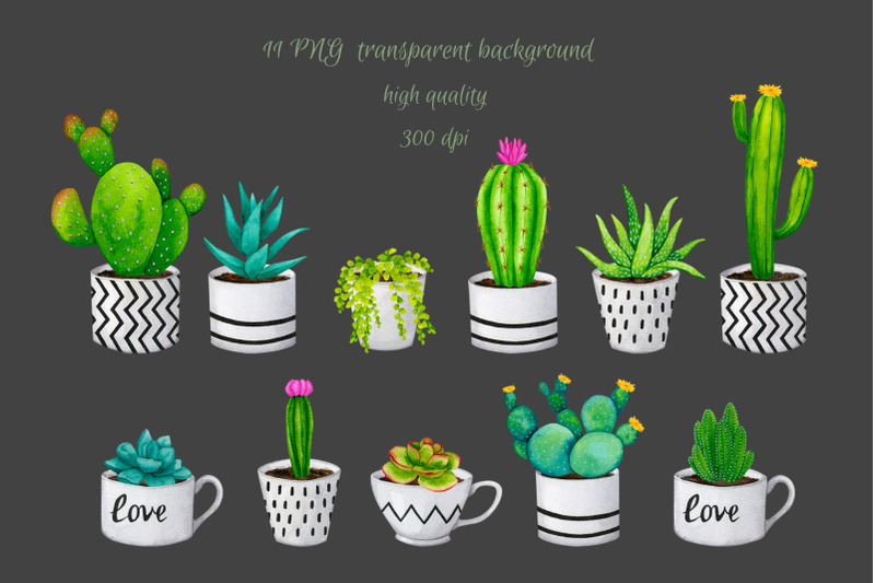 cacti-and-succulents-watercolor-cliparts-png