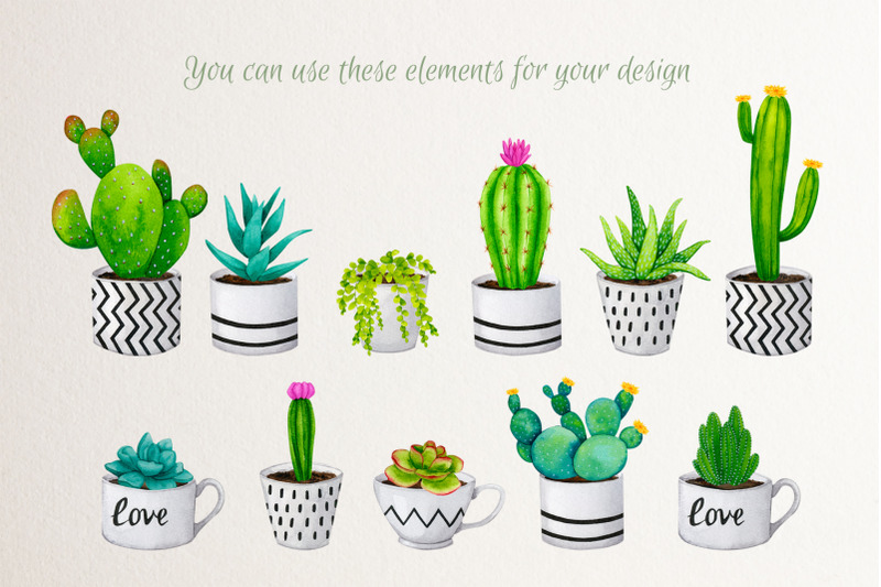 cacti-and-succulents-watercolor-cliparts-png