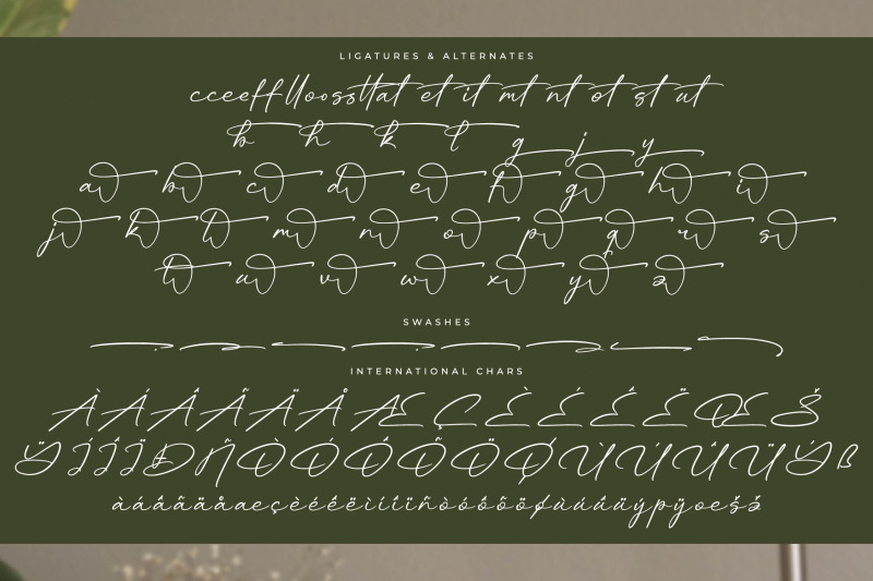 rhinayza-modern-signature-script