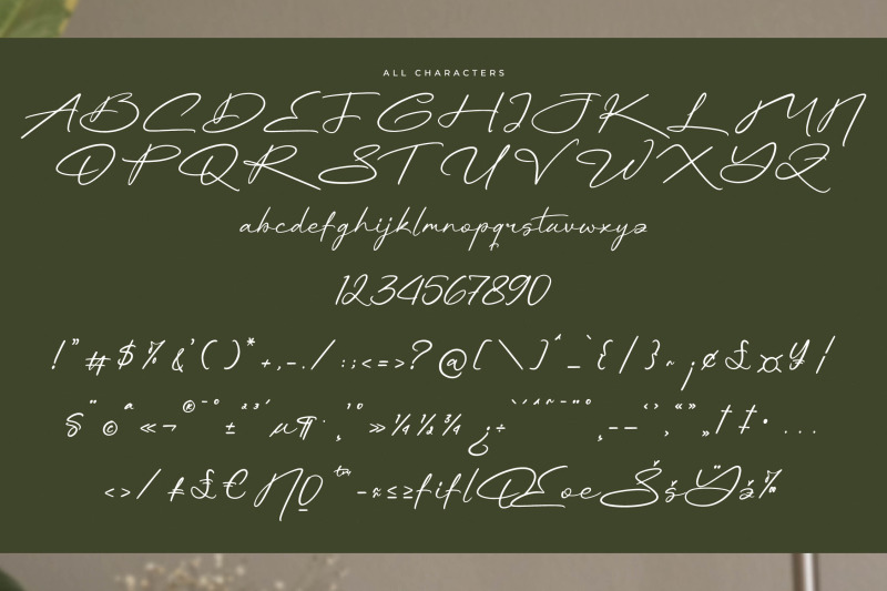 rhinayza-modern-signature-script