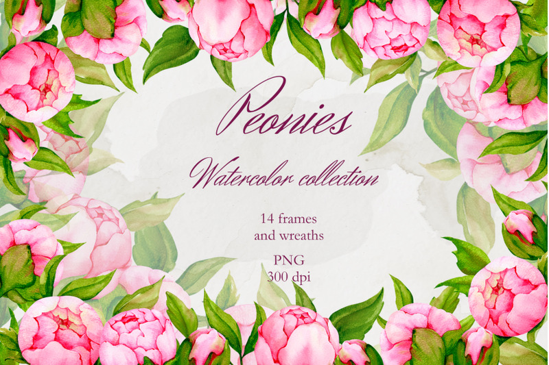 peonies-watercolor-collection-wreath-frames-png