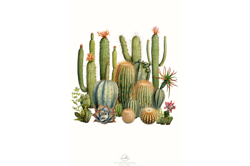 mexican-succulent-png-image