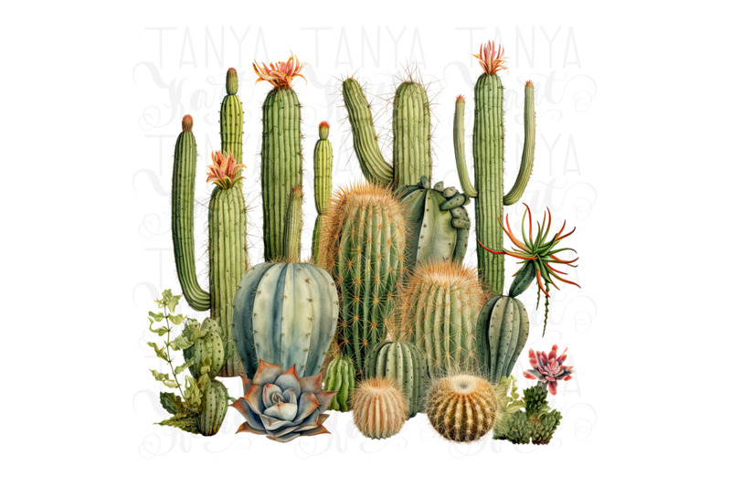 mexican-succulent-png-image