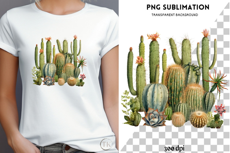 mexican-succulent-png-image