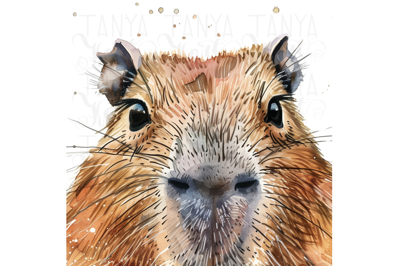 capybara-png-digital-download