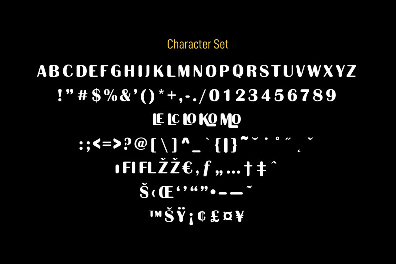 molodi-rounded-display-font