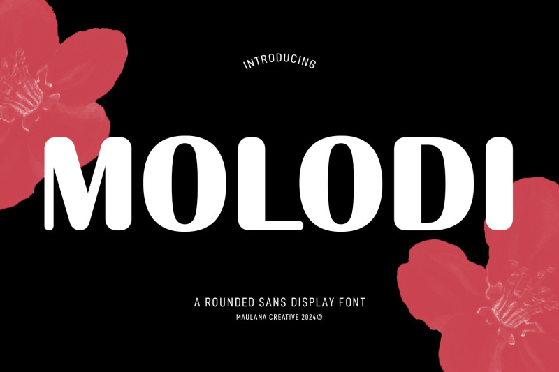 molodi-rounded-display-font