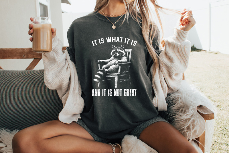 it-is-what-it-is-and-it-is-not-great-racoon-t-shirt-design-sarcastic-funny-graphic-tee-png-trending-sublimation-design-digital-download