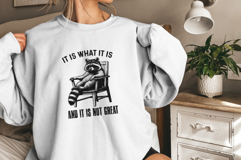 it-is-what-it-is-and-it-is-not-great-racoon-t-shirt-design-sarcastic-funny-graphic-tee-png-trending-sublimation-design-digital-download