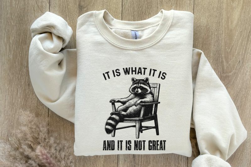 it-is-what-it-is-and-it-is-not-great-racoon-t-shirt-design-sarcastic-funny-graphic-tee-png-trending-sublimation-design-digital-download