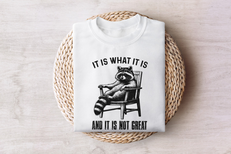 it-is-what-it-is-and-it-is-not-great-racoon-t-shirt-design-sarcastic-funny-graphic-tee-png-trending-sublimation-design-digital-download