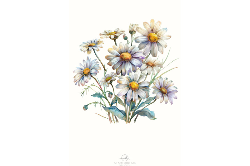 daisy-floral-digital-downloads-tshirt-design-png