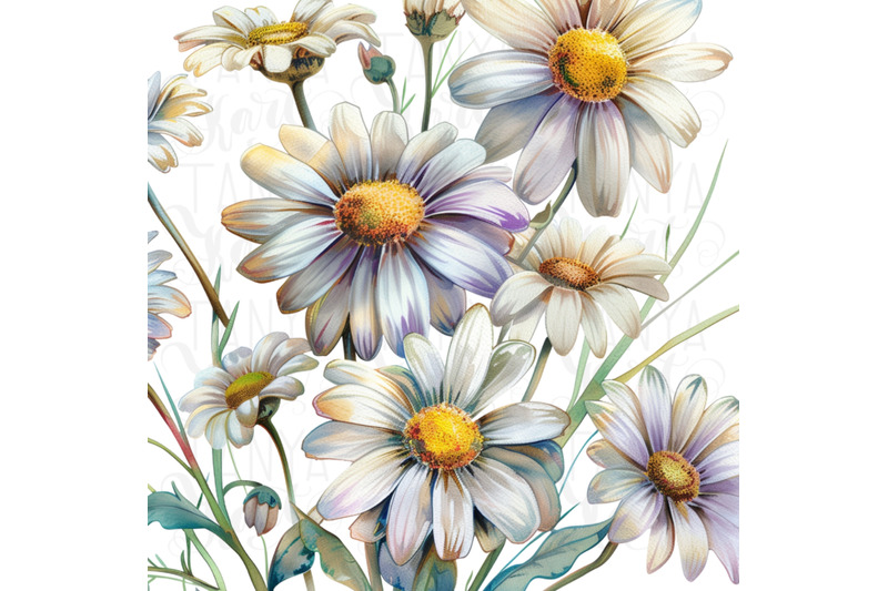 daisy-floral-digital-downloads-tshirt-design-png