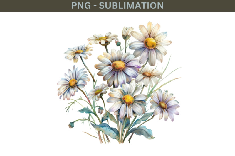 daisy-floral-digital-downloads-tshirt-design-png