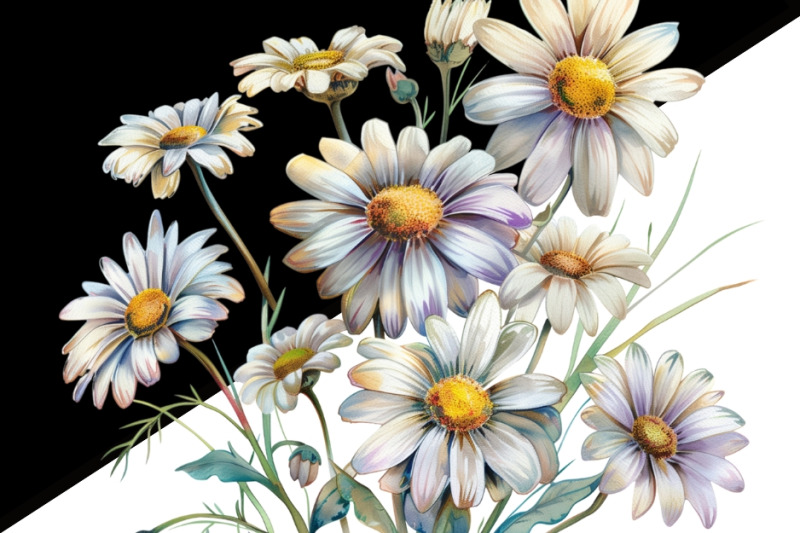 daisy-floral-digital-downloads-tshirt-design-png