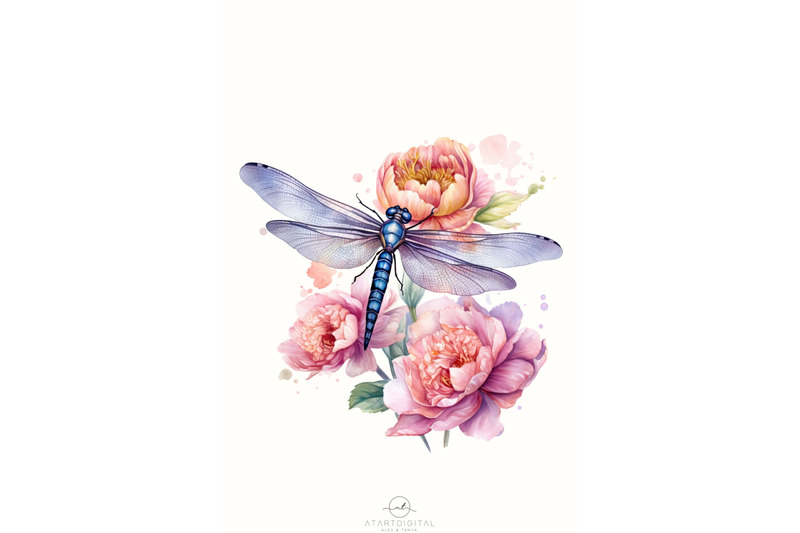 dragonfly-png-digital-downloads-insect-illustration