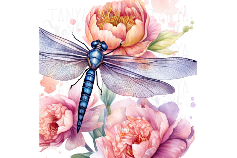 dragonfly-png-digital-downloads-insect-illustration