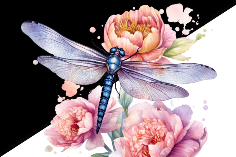 dragonfly-png-digital-downloads-insect-illustration