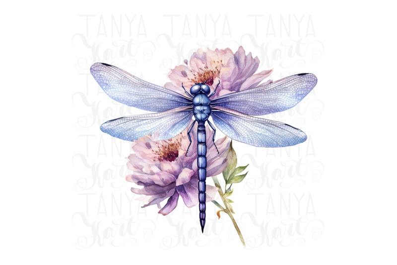 dragonfly-floral-printable-artwork-digital-downloads-for-sublimation