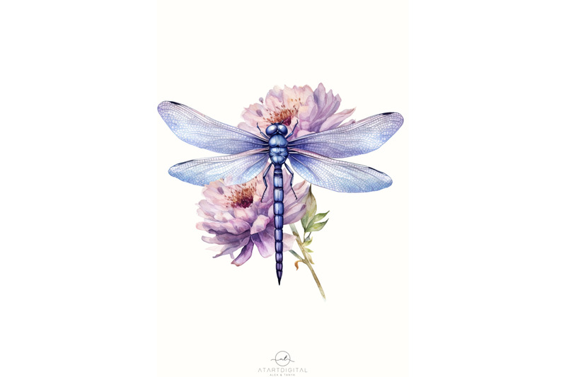 dragonfly-floral-printable-artwork-digital-downloads-for-sublimation