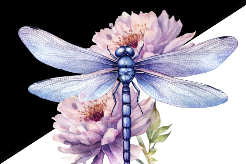 dragonfly-floral-printable-artwork-digital-downloads-for-sublimation