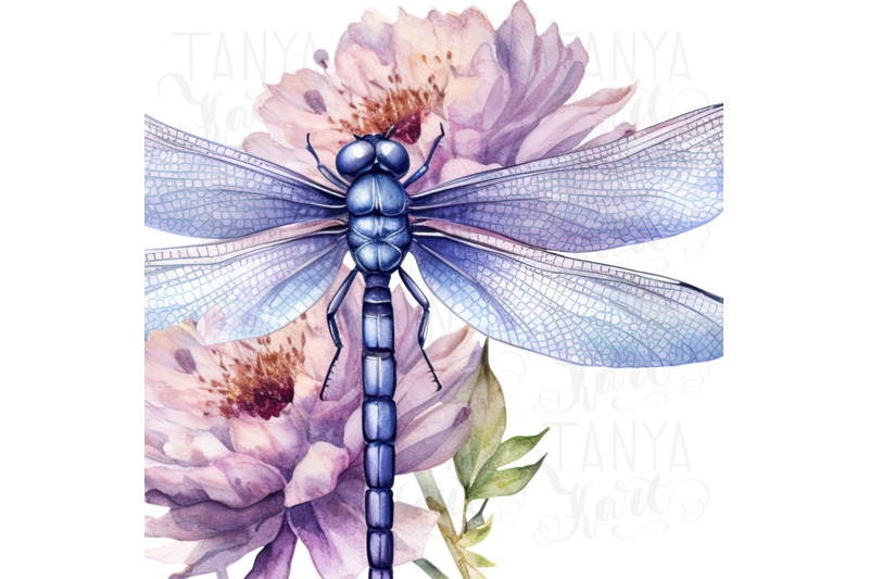 dragonfly-floral-printable-artwork-digital-downloads-for-sublimation