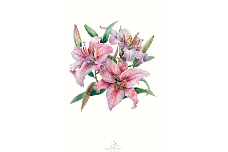 lily-png-digital-image-flower-graphics-amp-downloadable-print