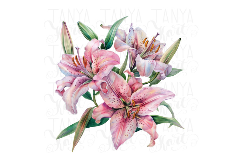 lily-png-digital-image-flower-graphics-amp-downloadable-print