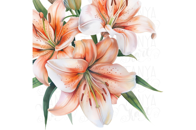 digital-lily-plants-printable-art-spring-florals-sublimation-design