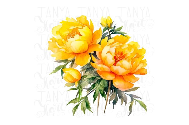 yellow-peonies-png-digital-download-botanical-floral-sticker