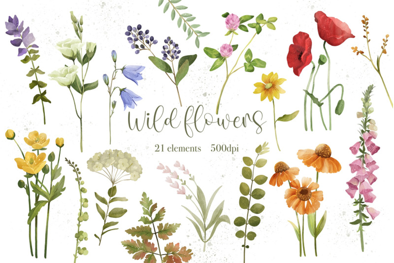 wild-flower-clipart-png-watercolor-flowers-botanical-floral-clipart