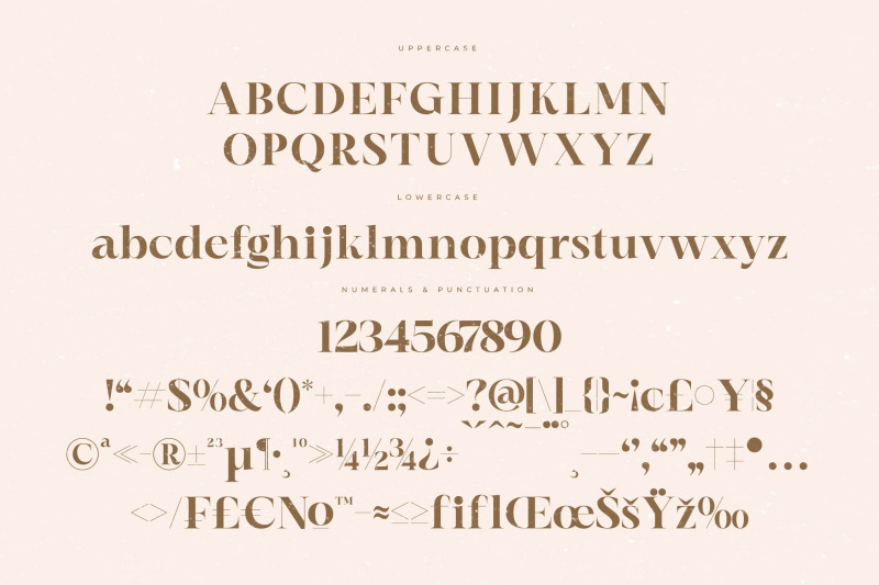 elegan-blend-modern-serif-font