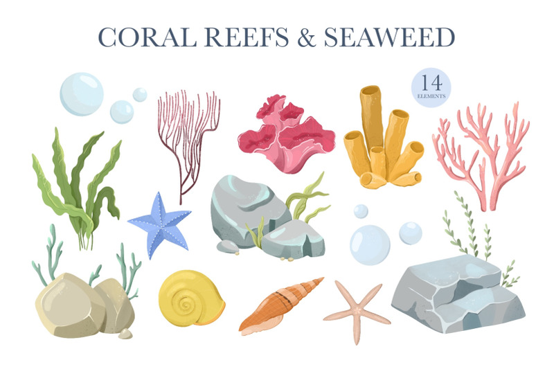 ocean-animals-clipart-seaweed-coral-reef-seamless-sea-animal-patte