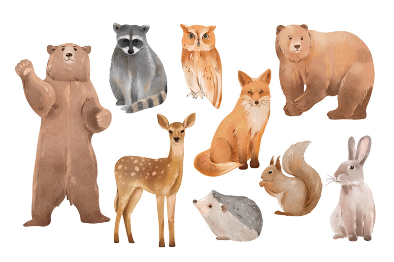 watercolor-woodland-animals-wild-animals-forest-illustration