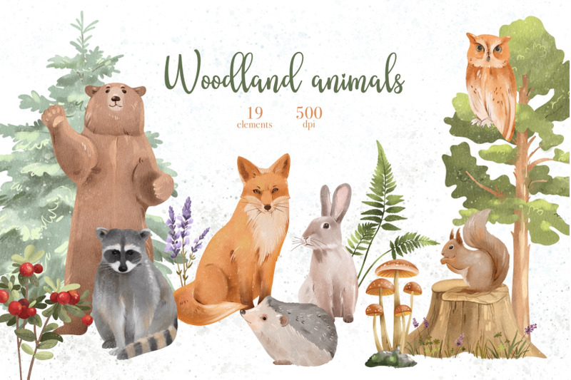 watercolor-woodland-animals-wild-animals-forest-illustration